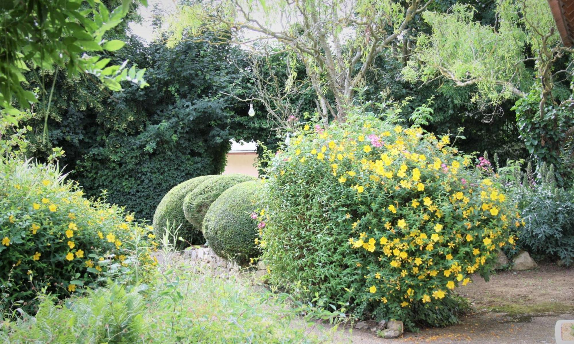 Manoir De La Basse-Cour Bed & Breakfast Asnieres-sur-Vegre Dış mekan fotoğraf